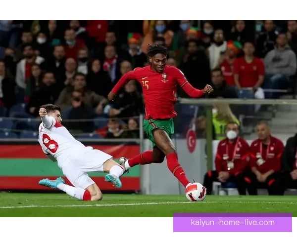 世界杯足球竞猜网站全面解析：如何通过智能分析精准预测赛事结果